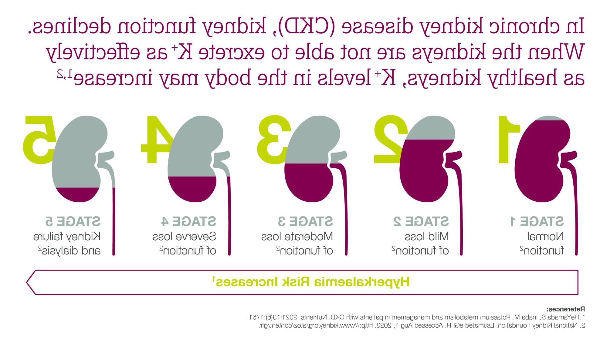 图示CKD的五个阶段